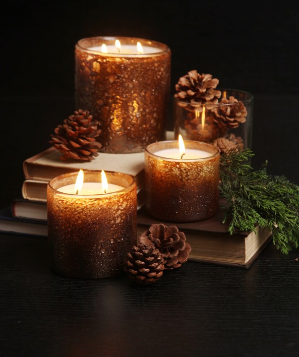 Alassis Holiday Candles in Noble Fir & Vetiver